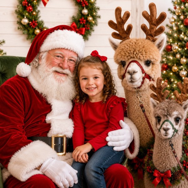 Pictures with Santa and the Alpaca Reindeer